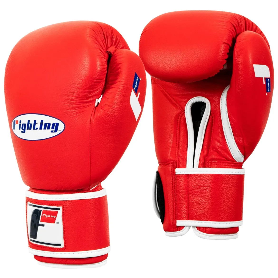 Fighting Sports Fury Professional Training Gloves