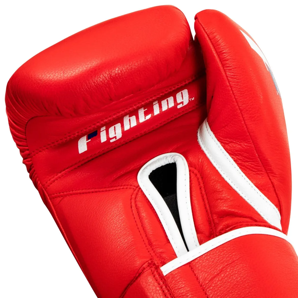 Fighting Sports Fury Professional Training Gloves