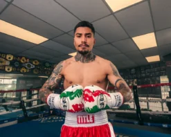Pro Mex Combatiente Pro Fight Boxing Gloves