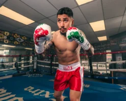 Pro Mex Combatiente Pro Fight Boxing Gloves