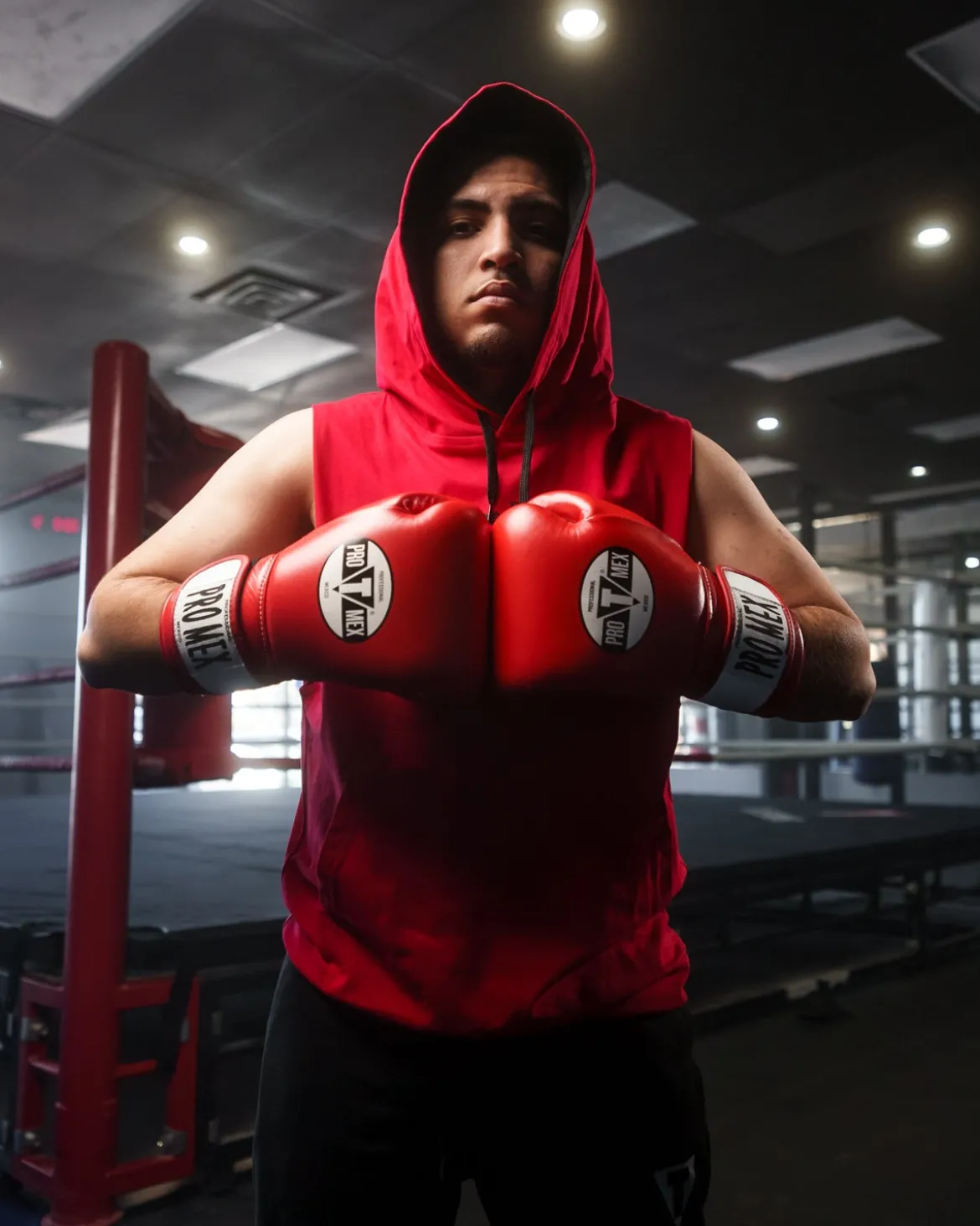 Pro Mex Professional Bag Boxing Gloves V3.0