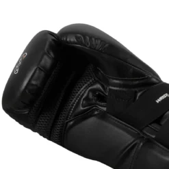 RIVAL RS11V Evolution Sparring Gloves