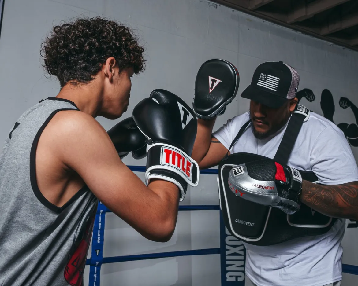 TITLE Aerovent Anarchy Punch Mitts
