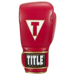 TITLE Boxeo Mexican Leather Training Boxing Gloves Quatro