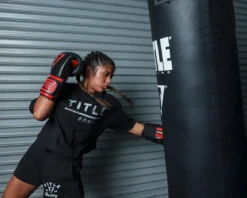 TITLE Boxing All Heart Bag Boxing Gloves 2.0