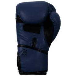 TITLE Boxing Dauntless Training Boxing Gloves