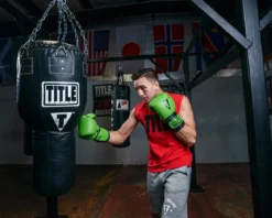 TITLE Boxing Dauntless Training Boxing Gloves