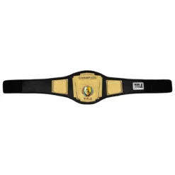 TITLE Boxing Force Of One Championship Belt