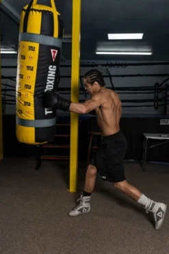 TITLE Boxing Greatest Heavy Bag Ever