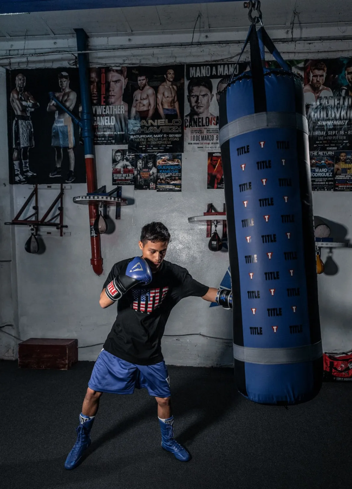 TITLE Boxing Greatest Heavy Bag Ever