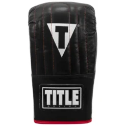 TITLE Boxing Heavy Bag & Mitt Bundle