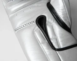 TITLE Boxing Momentum Pro Training Gloves