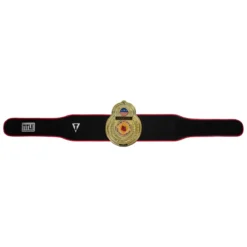 TITLE Boxing Old School Title Belt