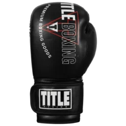 TITLE Boxing Peak Bag Boxing Gloves