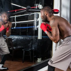 TITLE Boxing Precision Slip Stick