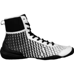 TITLE Boxing Predator II Shoes 2.0