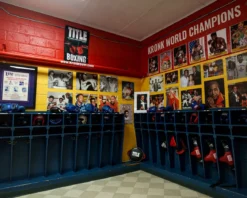 TITLE Boxing Pro Fight Banner
