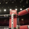TITLE Boxing Rope Retainer Ring
