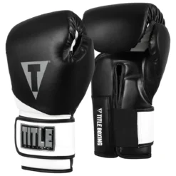 TITLE Boxing Swift Bag Boxing Gloves