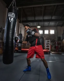 TITLE Boxing Total Balance Boxing Shoes
