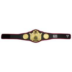 TITLE Boxing Triumphant Wings of Victory Belt