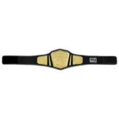 TITLE Boxing Undisputed Championship Belt