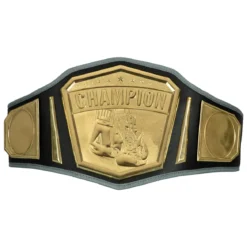TITLE Boxing Undisputed Championship Belt