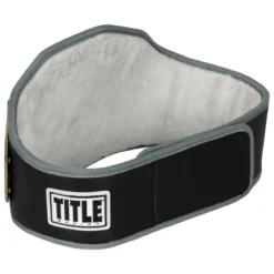 TITLE Boxing Undisputed Championship Belt