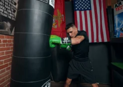 TITLE Boxing WBC Sparring Gloves