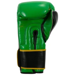 TITLE Boxing WBC Training Gloves