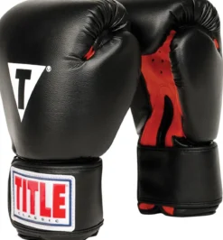 TITLE Classic Boxing Gloves
