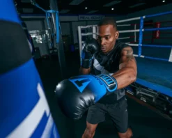 TITLE Classic Crusade Boxing Gloves