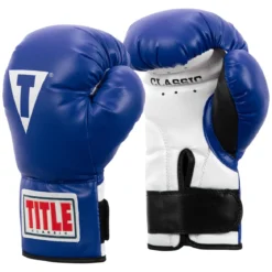 TITLE Classic Kid & Youth Boxing Gloves 2.0