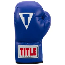 TITLE Classic Kid & Youth Boxing Gloves 2.0