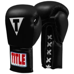 TITLE Classic Leather Lace Training Boxing Gloves 2.0