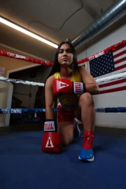 TITLE Classic USA Boxing Competition Boxing Gloves - Elastic