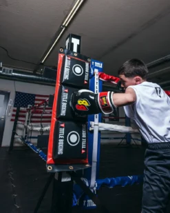 TITLE Combination Punching Pad