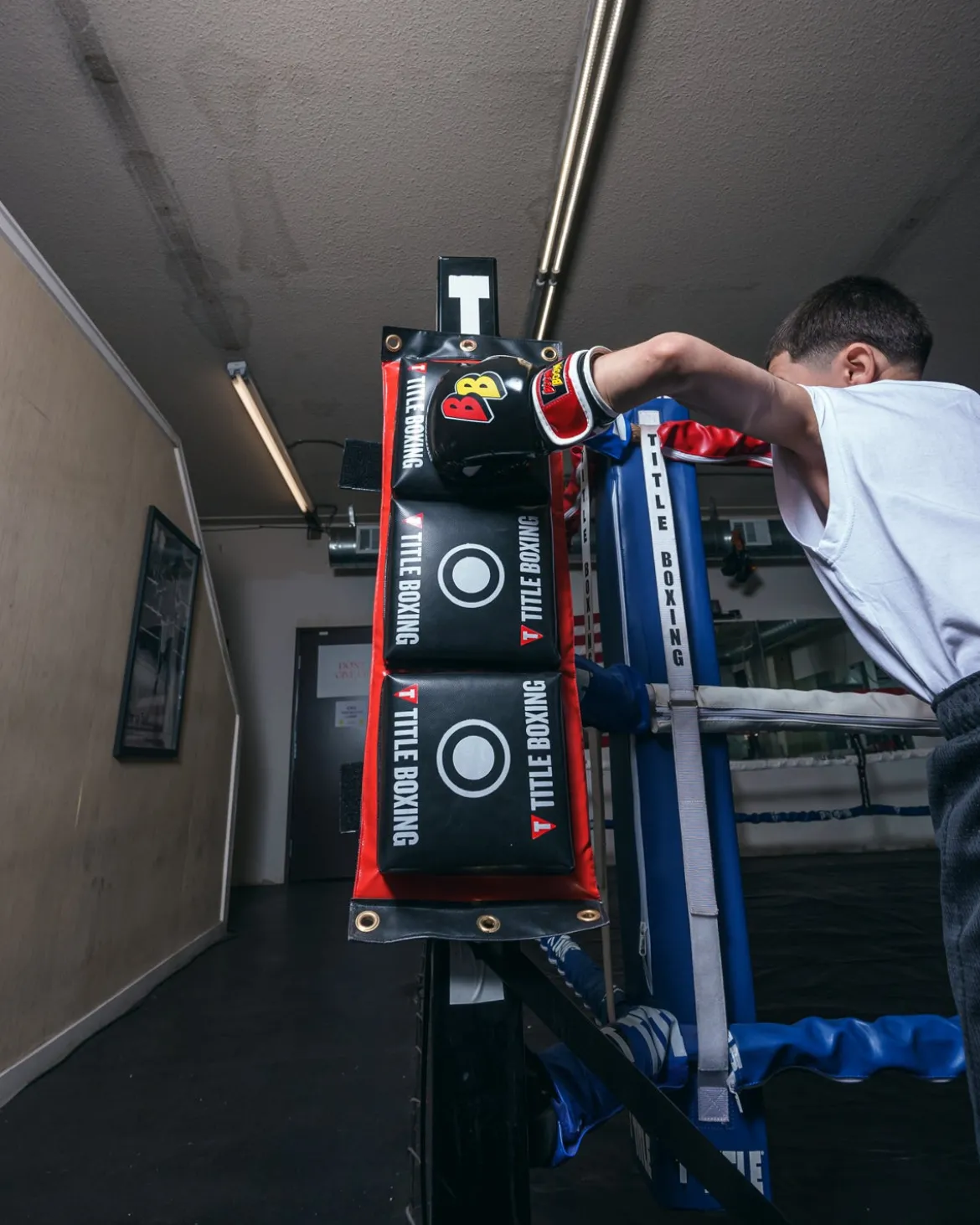 TITLE Combination Punching Pad