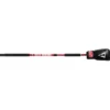 TITLE Gladiator Stick