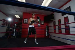 TITLE Great Official Pro Fight Gloves