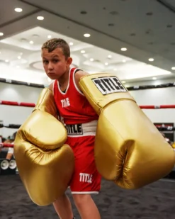 TITLE Jumbo Boxing Gloves 2.0