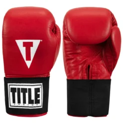 TITLE Masters USA Boxing Competition Gloves - Elastic