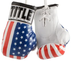 TITLE 3.5” MINI BOXING GLOVES