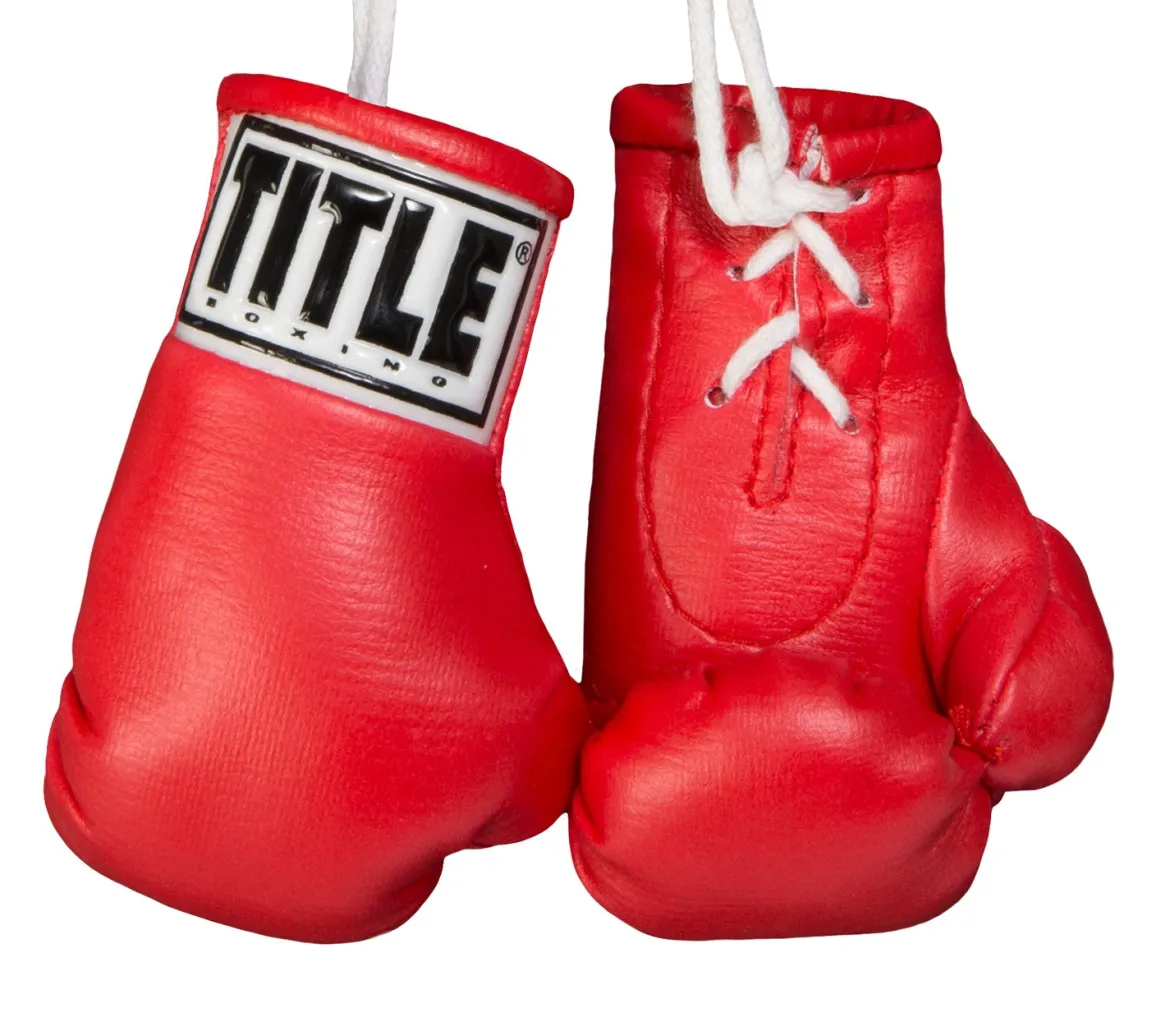 TITLE 3.5” MINI BOXING GLOVES