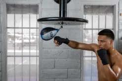 TITLE Platinum Perilous Speed Bag
