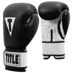 TITLE Premier Leather Super Bag Boxing Gloves 2.0
