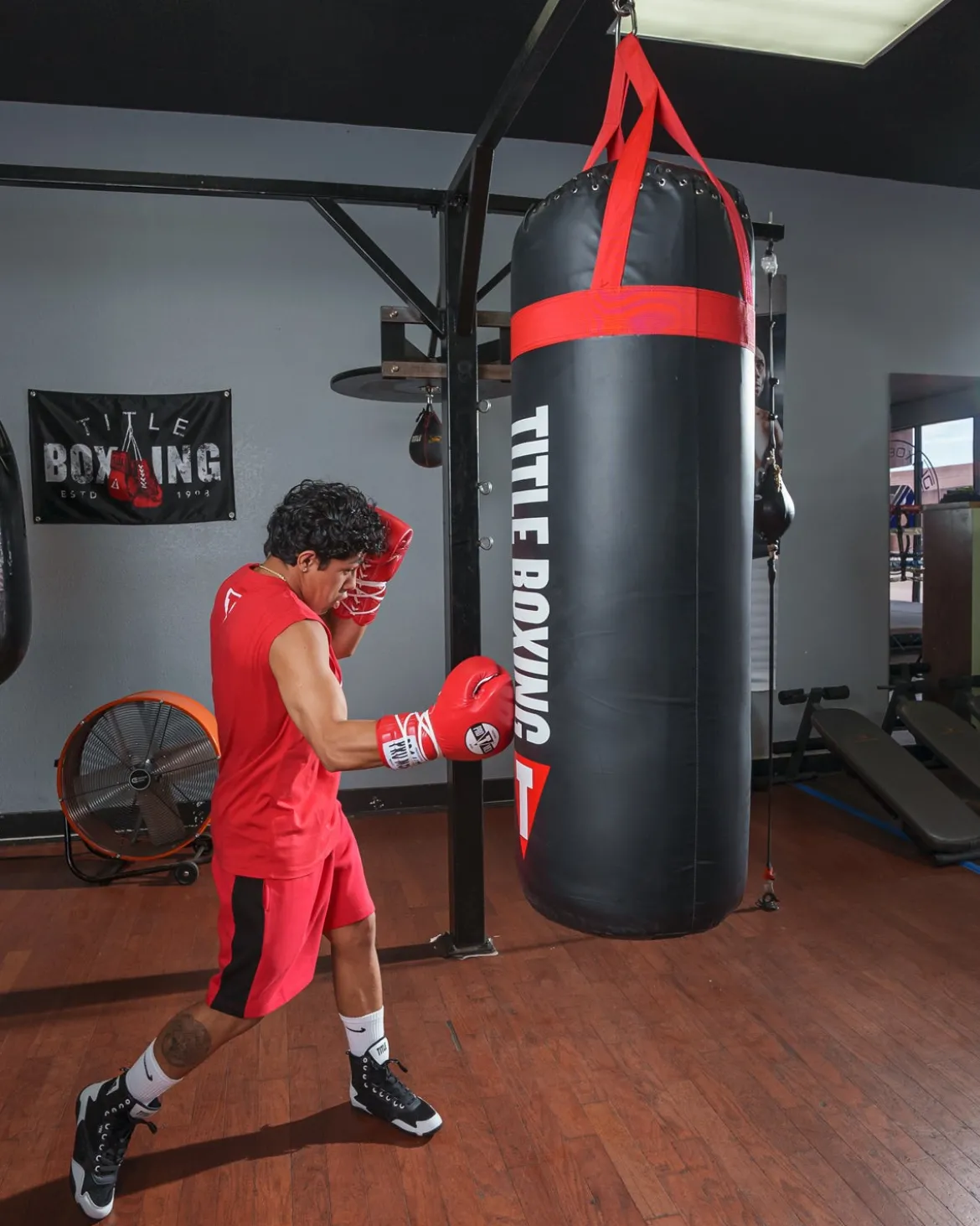 TITLE Titanic Flex-Strike Heavy Bag