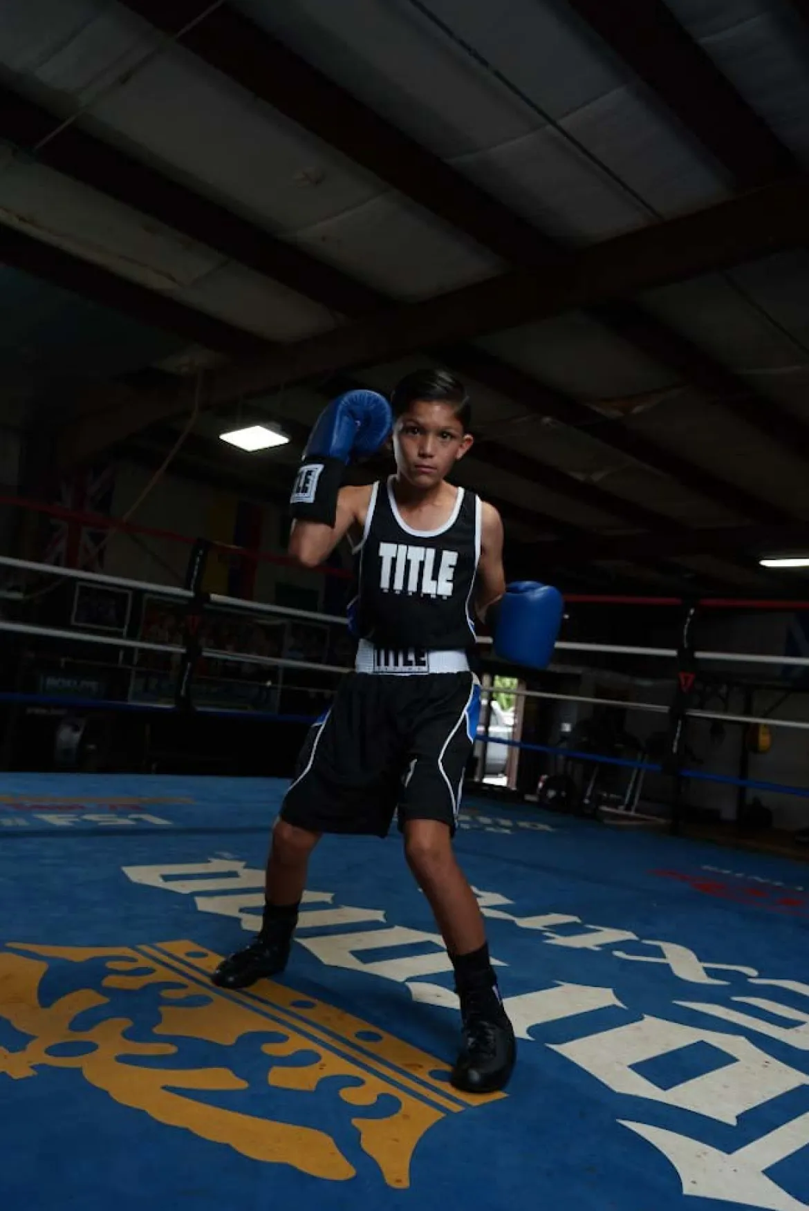 TITLE USA Boxing Competition Gloves - Elastic