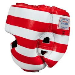 TITLE USA Boxing Competition Headgear - With Cheeks
