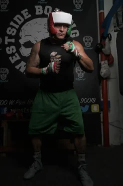 TITLE USA Boxing Competition Headgear - With Cheeks
